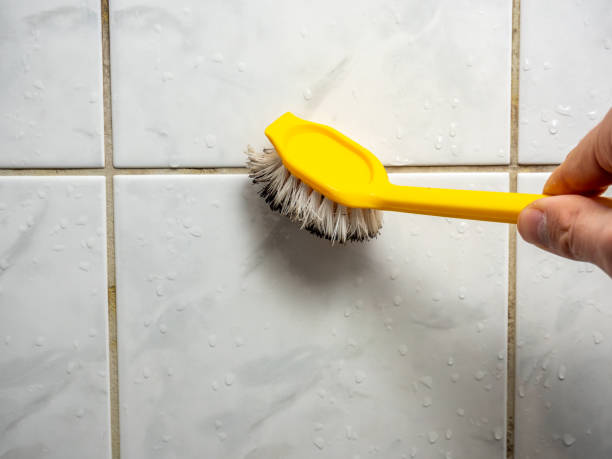 Best Same-Day Mold Removal  in Passapatanzy, VA