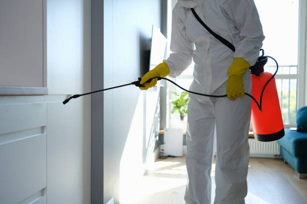 Office Mold Removal Services in Passapatanzy, VA