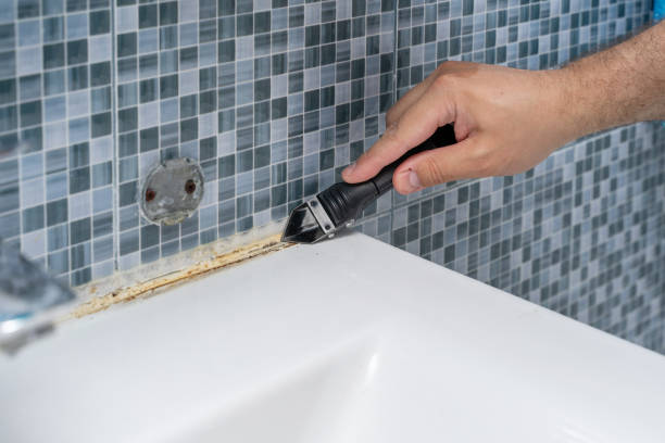 Best Best Mold Removal Companies  in Passapatanzy, VA