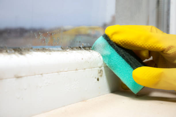 Best Water Damage Restoration  in Passapatanzy, VA