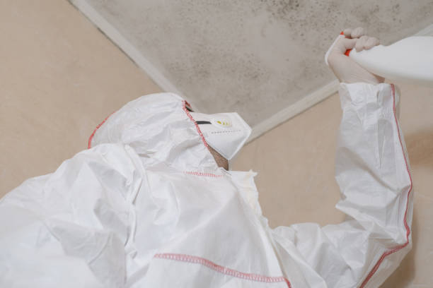 Professional Mold Removal in Passapatanzy, VA