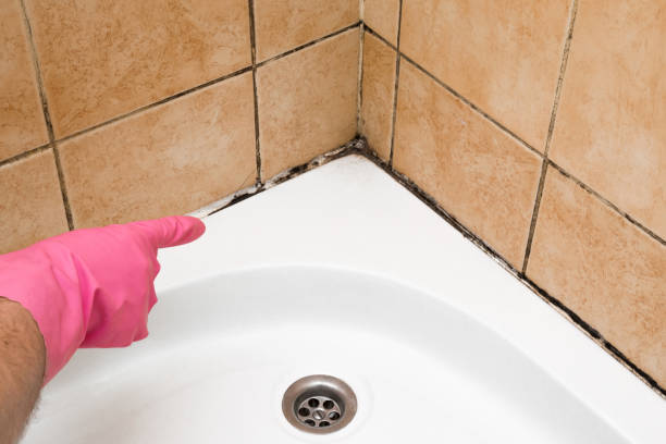 Best Mold Removal Near Me  in Passapatanzy, VA